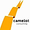 Camelot Consulting Group