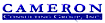Cameron Consulting Group