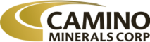 Camino Minerals's logo Camino Minerals's Company logo