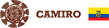 Camiro Group's logo Camiro Group's Company logo