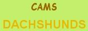Cams Dachshunds's logo Cams Dachshunds's Company logo