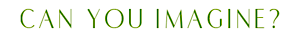 Can You Imagine Software