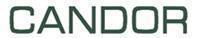 Candor Financial Group's logo Candor Financial Group's Company logo