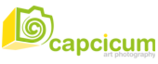 Capcicum Art Studio's logo Capcicum Art Studio's Company logo