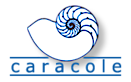 Caracole, Inc.