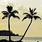 Caribbean-atlantic University