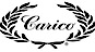 Carico International