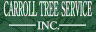 CARROLL TREE SERVICE