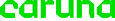 Savon Voima's Competitor - Caruna logo
