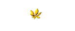 Casa Ceibo's logo Casa Ceibo's Company logo