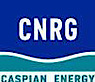 Caspian Energy Group