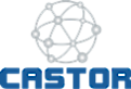 Castornetworks's logo Castornetworks's Company logo