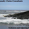 Casualty Claims Consultants's logo Casualty Claims Consultants's Company logo