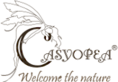 Casyopea's logo Casyopea's Company logo
