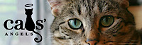 Cats' Angels Austin's logo Cats' Angels Austin's Company logo