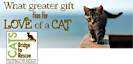 Cats Bridge To Rescue's logo Cats Bridge To Rescue's Company logo