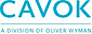 Flight Data's Competitor - CAVOK Group logo