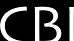 CBI Consulting, LLC