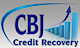 Cbjcredit