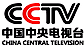 Afghanistan Broadcasting System's Competitor - CCTV International Network Co., Ltd. logo
