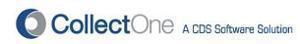 CDS Software's logo CDS Software's Company logo