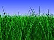 Central Bucks Landscapers's logo Central Bucks Landscapers's Company logo