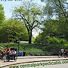 Central Park Rickshaw Tours