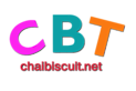 Chaibiscuit