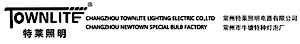 Changzhou Townlite Lighting Electric's logo Changzhou Townlite Lighting Electric's Company logo
