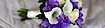 Singerly Manor's Competitor - Charlotte's Home logo