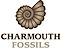 Charmouthfossils