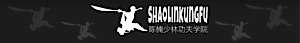 Chen Nan Shaolin Kung Fu's logo Chen Nan Shaolin Kung Fu's Company logo