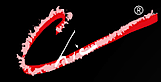 Chicscents's logo Chicscents's Company logo