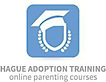 Haguetrainingonline
