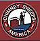 Winston’s Chimney Service's Competitor - Chimney Sweeps of America logo