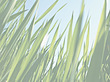 Chinchilla Tank Centre's logo Chinchilla Tank Centre's Company logo