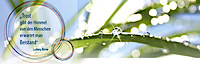 Christophorus Ggmbh's logo Christophorus Ggmbh's Company logo