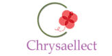 Chrysaellect's logo Chrysaellect's Company logo