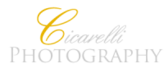 Cicarelli Photography's logo Cicarelli Photography's Company logo