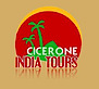 Cicerone India Tours