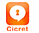 Cicret