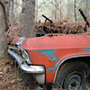 Classic Cars Rotting