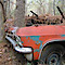Classic Cars Rotting