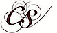 Boston Closet's Competitor - Closet Solutions logo