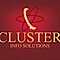 Shristi Technology Labs's Competitor - Cluster Info Solutions logo