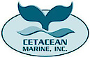 Cetaceanmarine