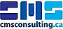 CMS Consulting