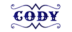CODY Systems
