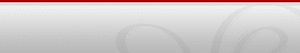 Coenetwork, Net's logo Coenetwork, Net's Company logo