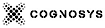 Cognosys's company profile
